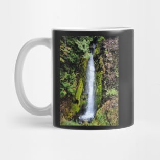 Lake Cushman Waterfall Mug